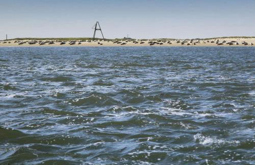 Ferienwohnung Kornew - Foto 58