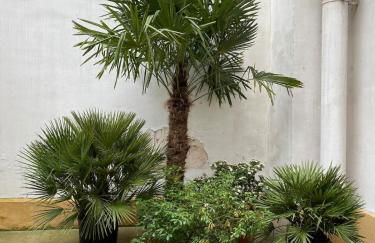 Eiffel Tower 4P apartment - Passy - quiet - - Foto 17