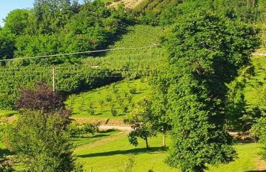 AleKS friendly house - Foto 26