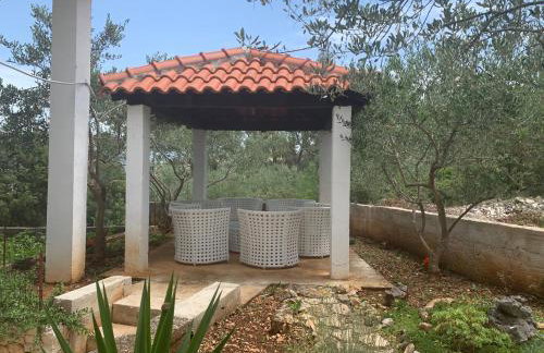 Apartments Marko - Photo 11