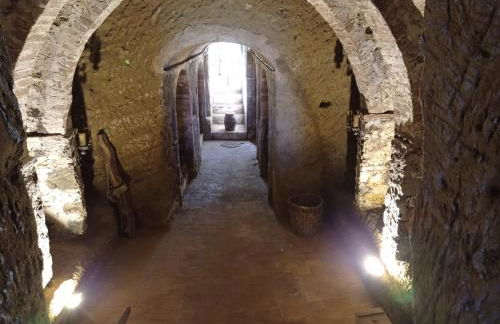 La Corte Cetona - Foto 37