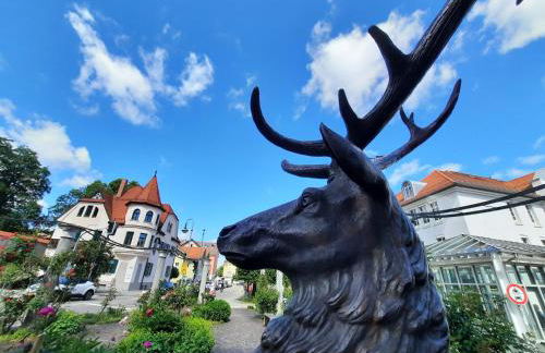 Ferienwohnung-Königsschlösser - Foto 50