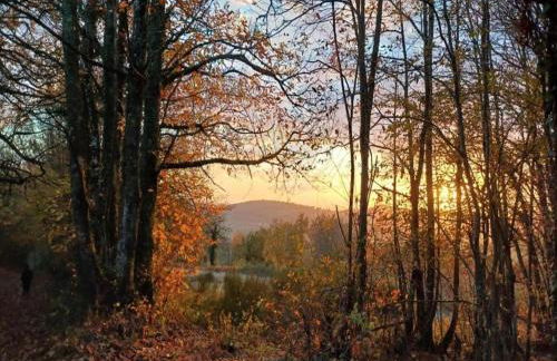 Country House Near Parc du Morvan With Pool - Photo 80