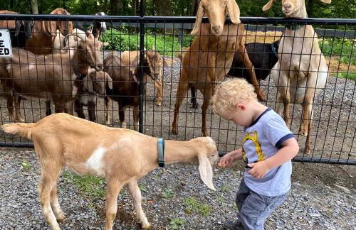 Historic Cabin near Luray Caverns Perfect for a Family Vacation in Virginia - Foto 20
