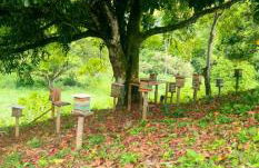 Sítio com piscina natural Cachoeiras de Macacu - Foto 54