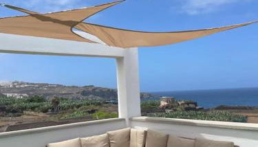 Musa Paradisiaca - Foto 2