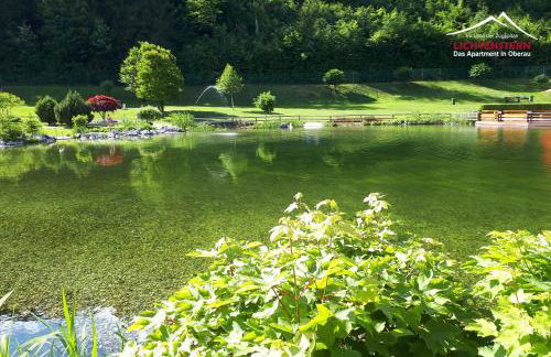 Apartment LICHTENSTERN - Foto 29