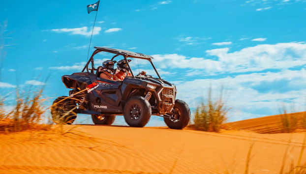 Tour delle dune di Sand Mountain in buggy - Foto 2