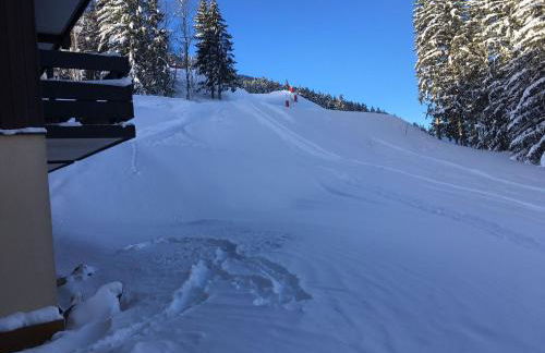 Superbe vue, accès skis aux pieds, très agréable - Foto 6