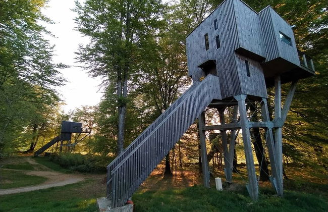 Etape en forêt - Foto 5