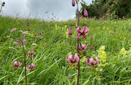 Tabià del Belli - Foto 20