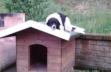 Agriturismo La Gismonda - Foto 28