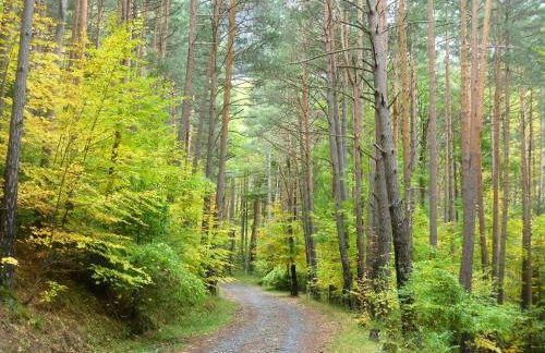 COMO EN TU CASA Canfranc Estación - Foto 40