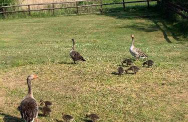 Lake View Suite, Romney Marsh - Photo 6