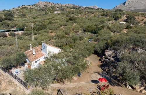 Cortijo Salva - Foto 31