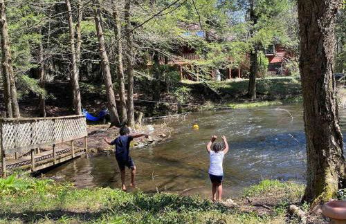 Peaceful Gateway to Island Creek Cottage - Foto 44