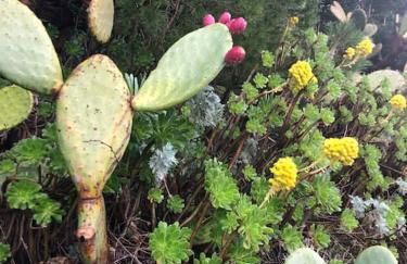 Appartamento per 2 persone con vista sulle Eolie Casa Spisidda "Lipari" - Foto 61