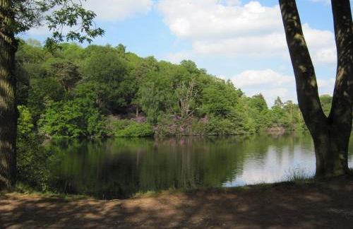 Blackwater Meadow Apartment - Foto 18