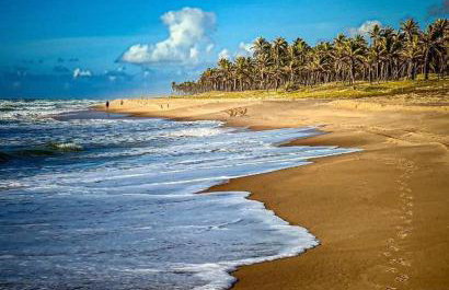 Apartamento 03 suítes - Tree Bies Beach Resort - Praia de Subaúma - Foto 21