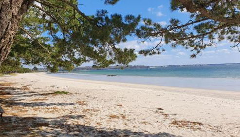 Vacances Ô Loch - Studio à 200 mètres de la plage - Le Cap Coz Fouesnant - Foto 4