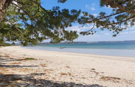 Vacances Ô Loch - Studio à 200 mètres de la plage - Le Cap Coz Fouesnant - Foto 4