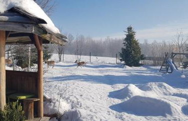 Dom Grabowa z sauną , podgrzewanym basenem i balią z hydromasażem - Foto 39