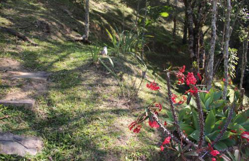 Solar Mirandela - Foto 38