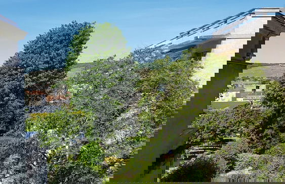 L'épopée de L'avenue - Avenue de Champagne Epernay - Photo 22