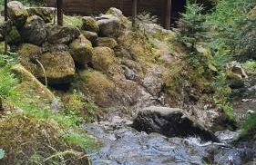 Ferienwohnung Schwarzwaldglück - Foto 37