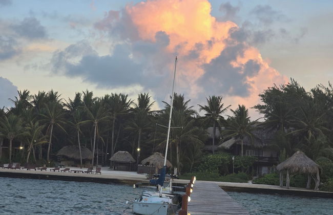 Xanadu Island Resort - Foto 56