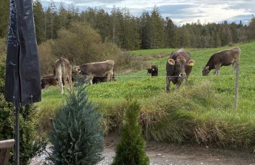 Die Schorenmoos-Lodge - Foto 15