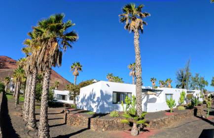 Palmeras Garden - Foto 112