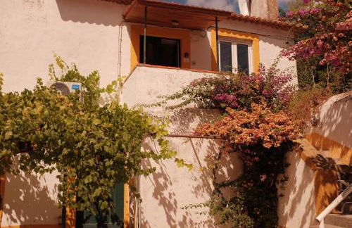 Quinta do Boição - Foto 67