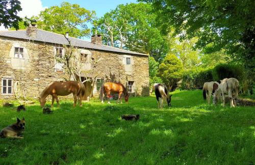 Granja Labrada: Alojamiento con caballos - Foto 15