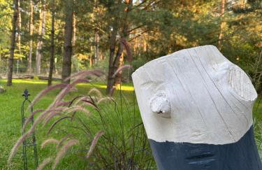 Chatka Jezioranka & bania - Foto 49