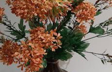 Dimora Italia - Foto 22