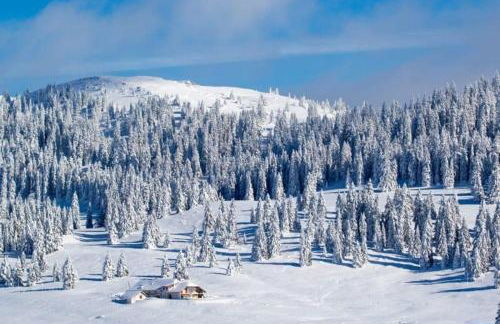 Appartement chaleureux familial - Foto 6