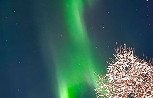 Elvestua House in Nature - Foto 37