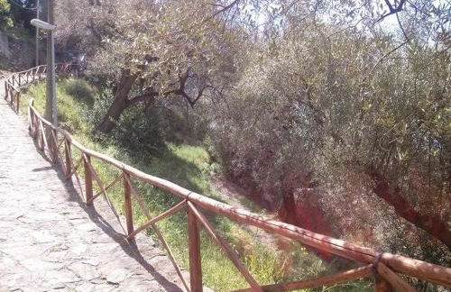 le case dei fiori - Foto 79