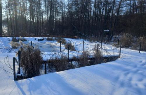 Owocowa Chojnata - Foto 41