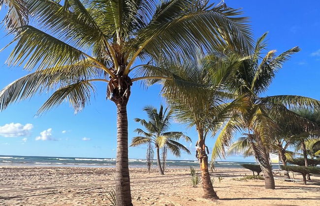 Villa Palmeira - Foto 74