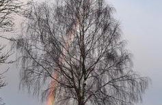 The Rock self-catering holiday cottage and garden lodges - Foto 56