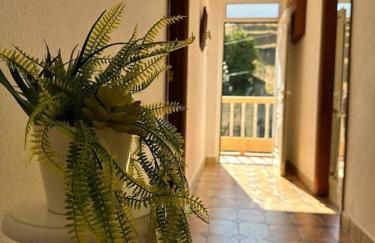 Casa de Sergude - Foto 10