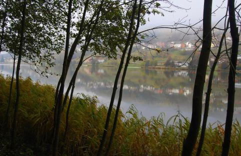 Ca' del Pettirosso - Foto 37