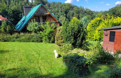 Dom w Górach Sowich Niedźwiedzia Gawra, Michałkowa - Foto 6