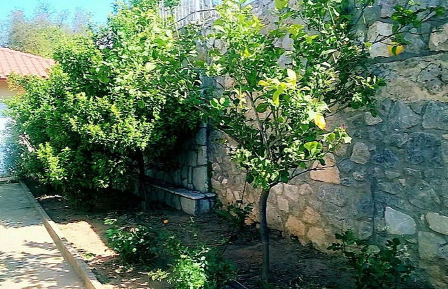 Beautiful & Cosy 5-bedroom Villa - Peloponnese - Foto 29