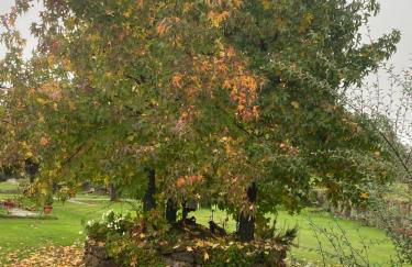 La Casa De Marta - Foto 24