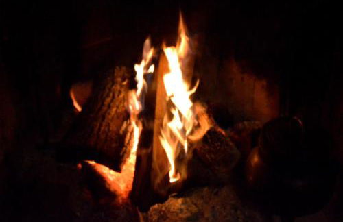 Quinta do Olival - Foto 83