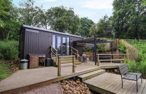 The Shepherds Hut at Bridge Lake Farm & Fishery - Foto 26