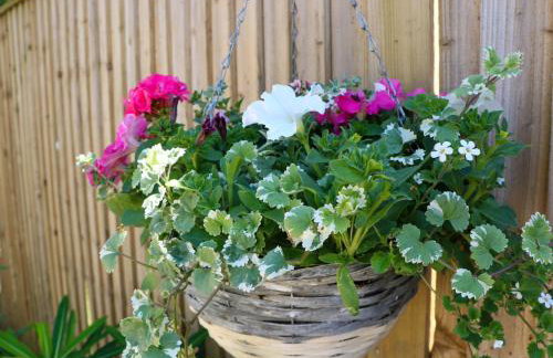 Lavender Cottage - Foto 39